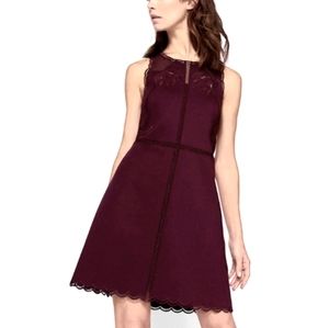 Ted Baker London Dress